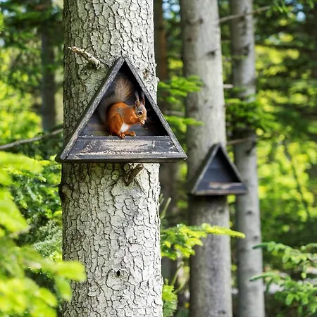 Bl1666-saltum-vikingebanke-5 * Saltum